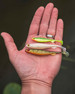 Guma Fox Rage Slick Shad